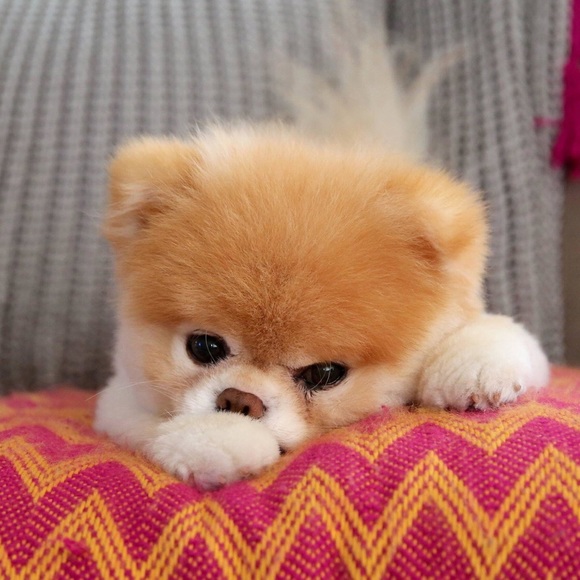 One free mask for the next 5 costumers! - Picture 1 of 1